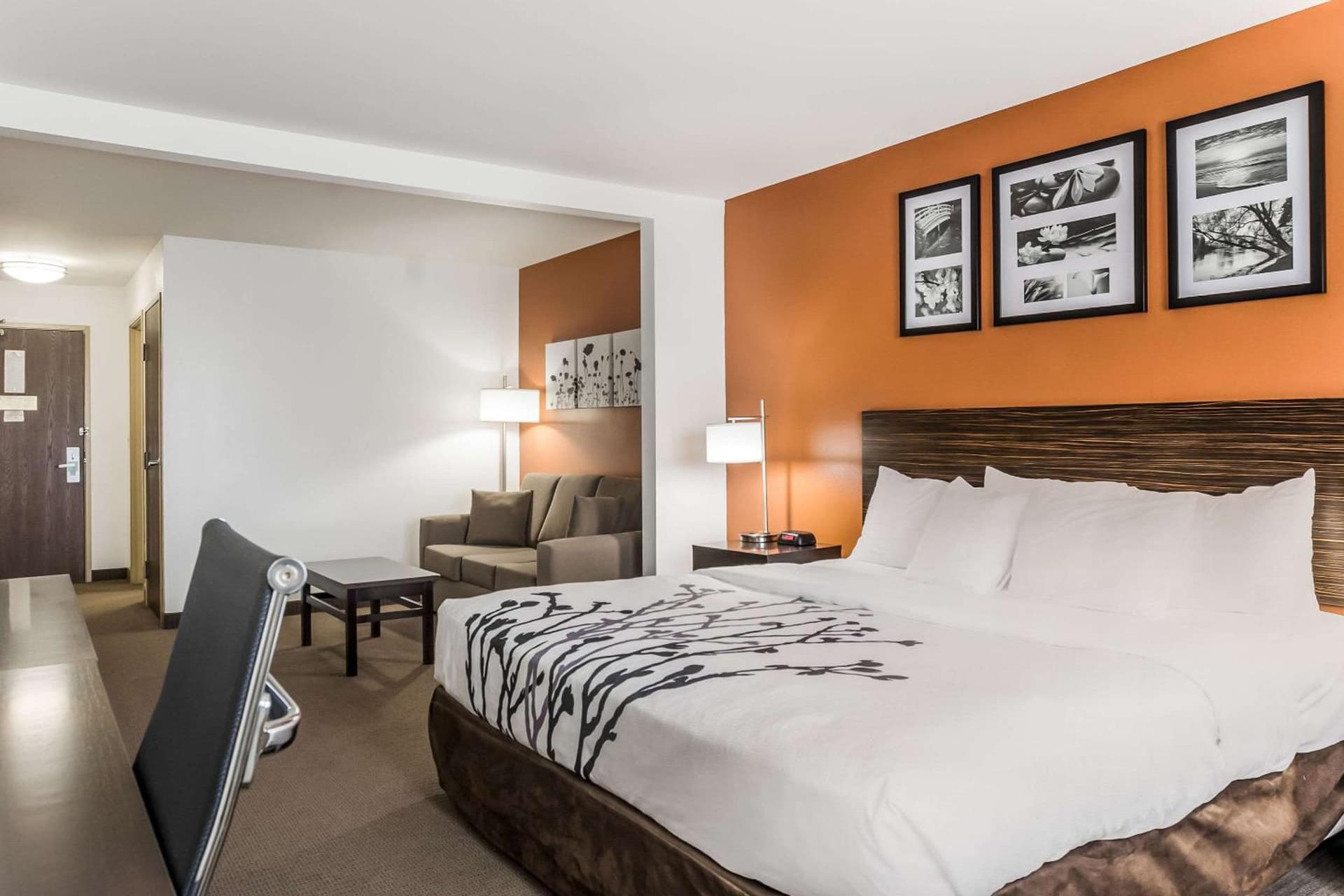 Sleep Inn & Suites North Liberty - Liberty City gallery photo in North Liberty, IA — image 5