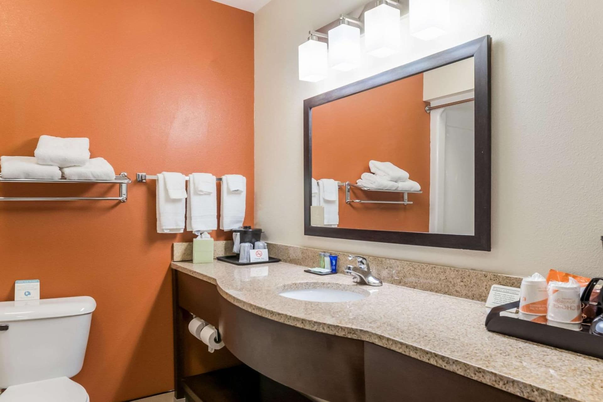 Sleep Inn & Suites North Liberty - Liberty City gallery photo in North Liberty, IA — image 10