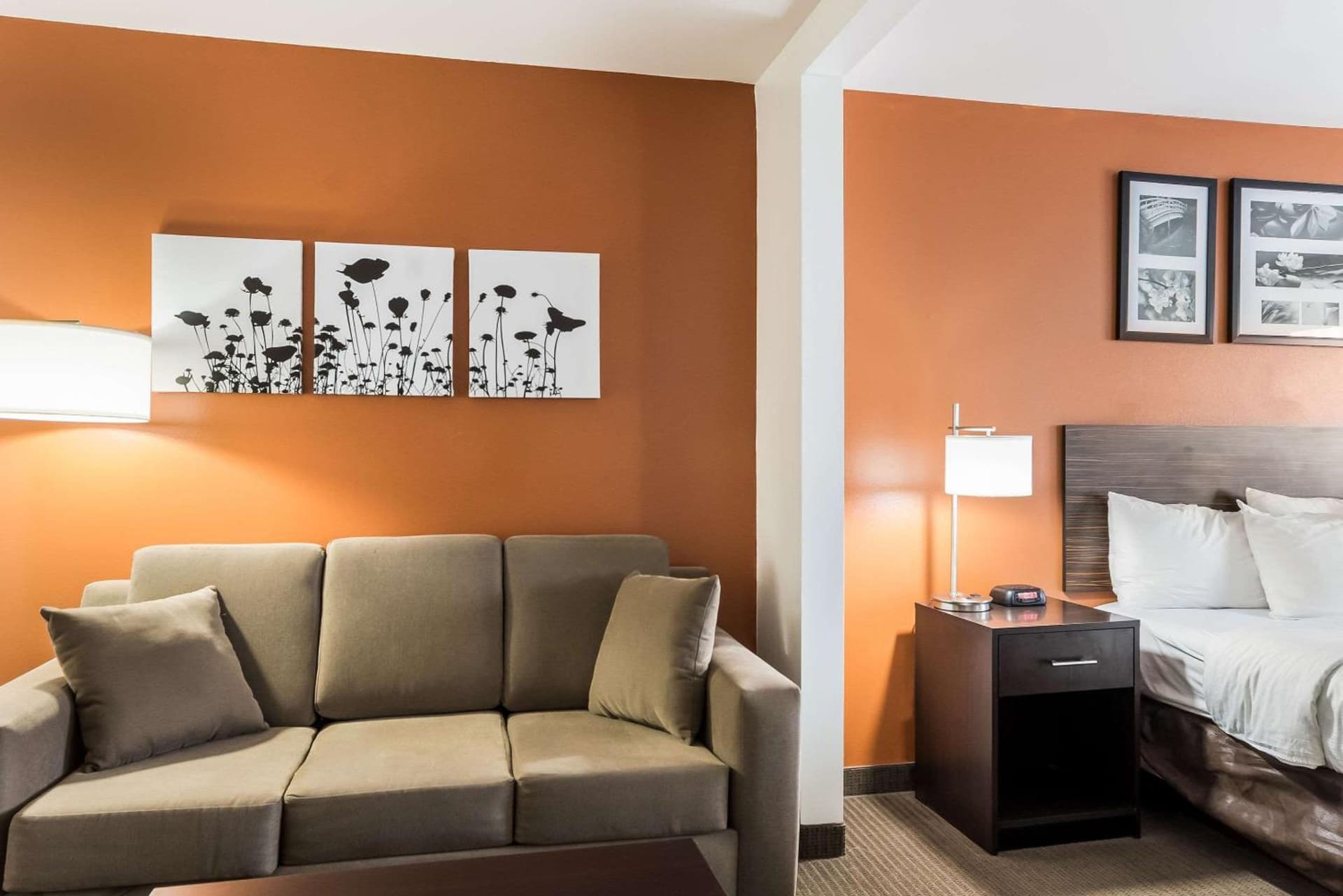 Sleep Inn & Suites North Liberty - Liberty City gallery photo in North Liberty, IA — image 21
