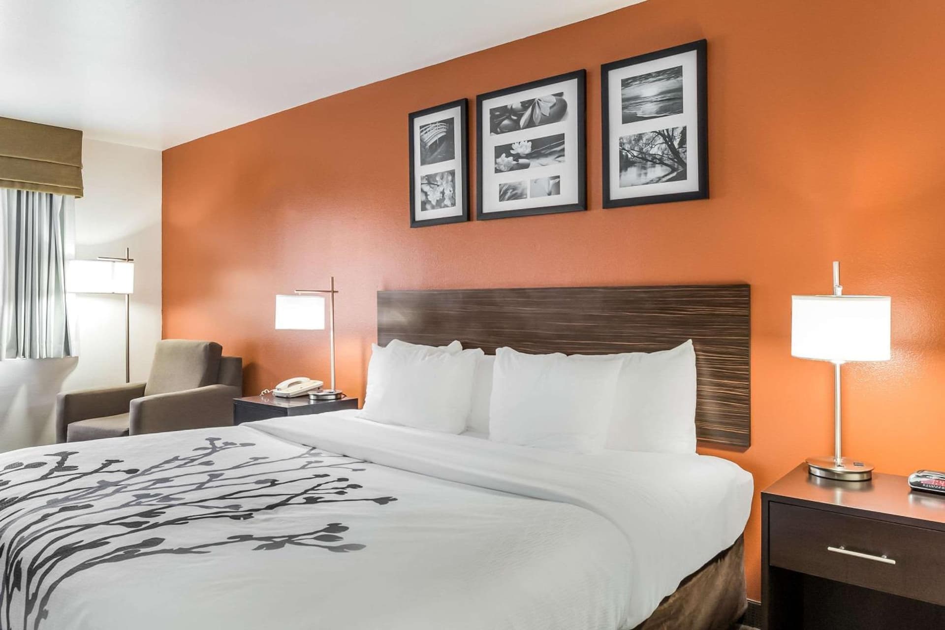Sleep Inn & Suites North Liberty - Liberty City gallery photo in North Liberty, IA — image 16