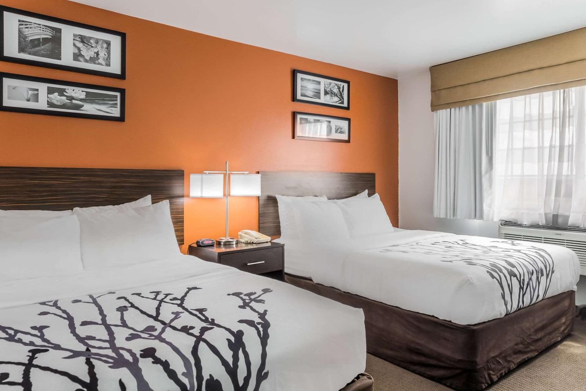 Sleep Inn & Suites North Liberty - Liberty City gallery photo in North Liberty, IA — image 34