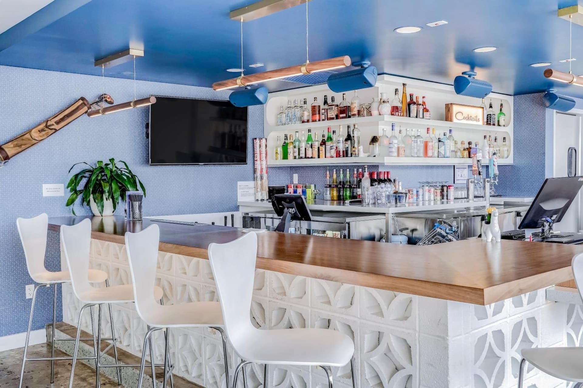 Downtowner Boutique Hotel gallery photo in Las Vegas, NV — image 6