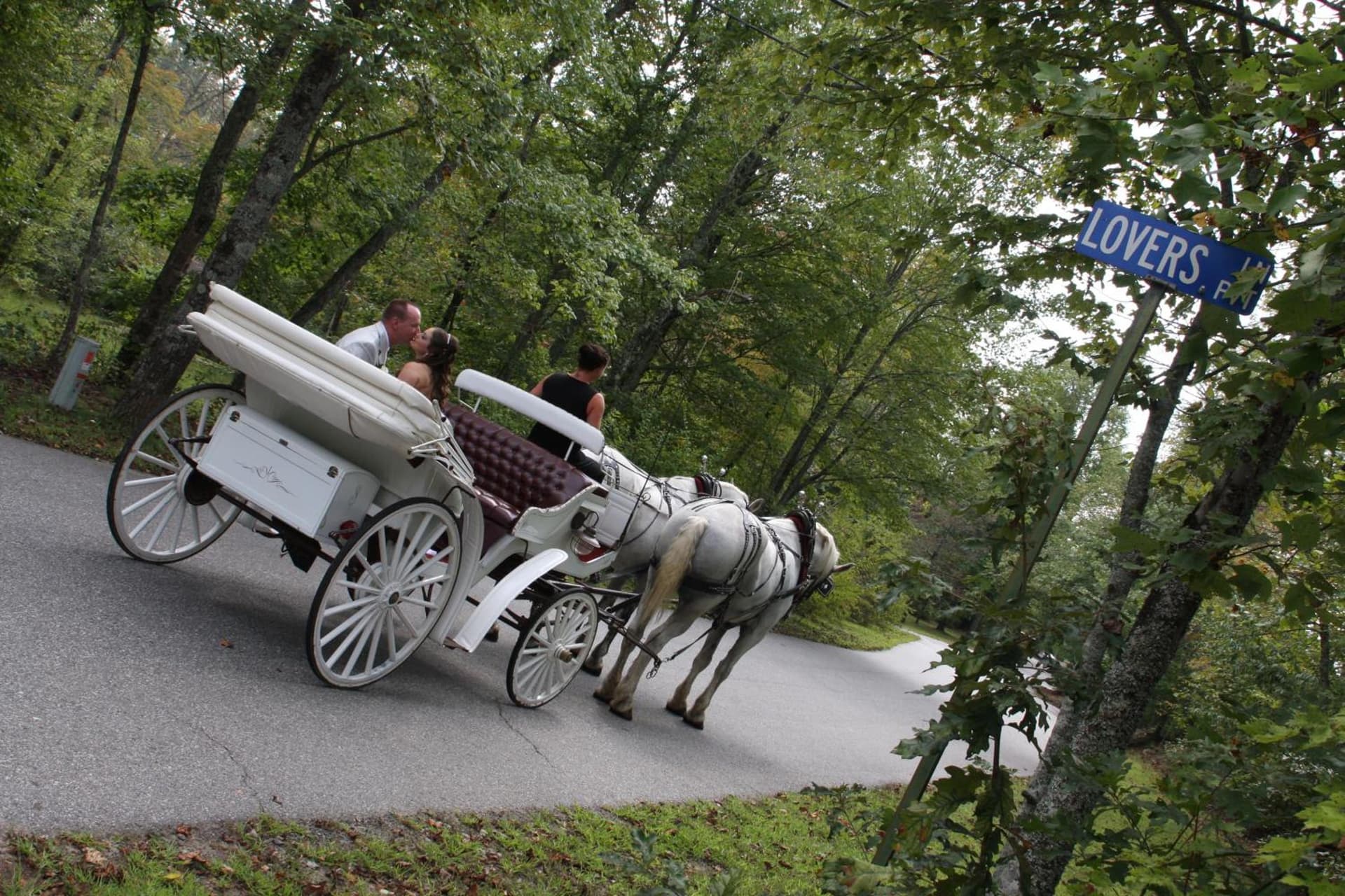 Forrest Hills Mountain Resort gallery photo in Dahlonega, GA — image 23