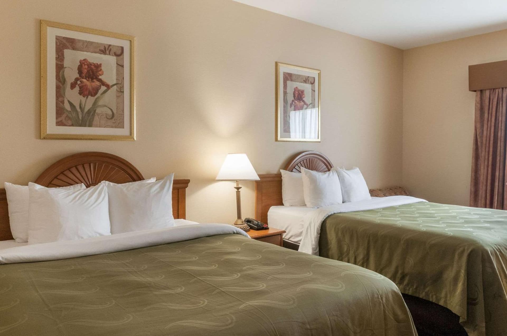 Quality Inn & Suites Houma gallery photo in Houma, LA — image 29
