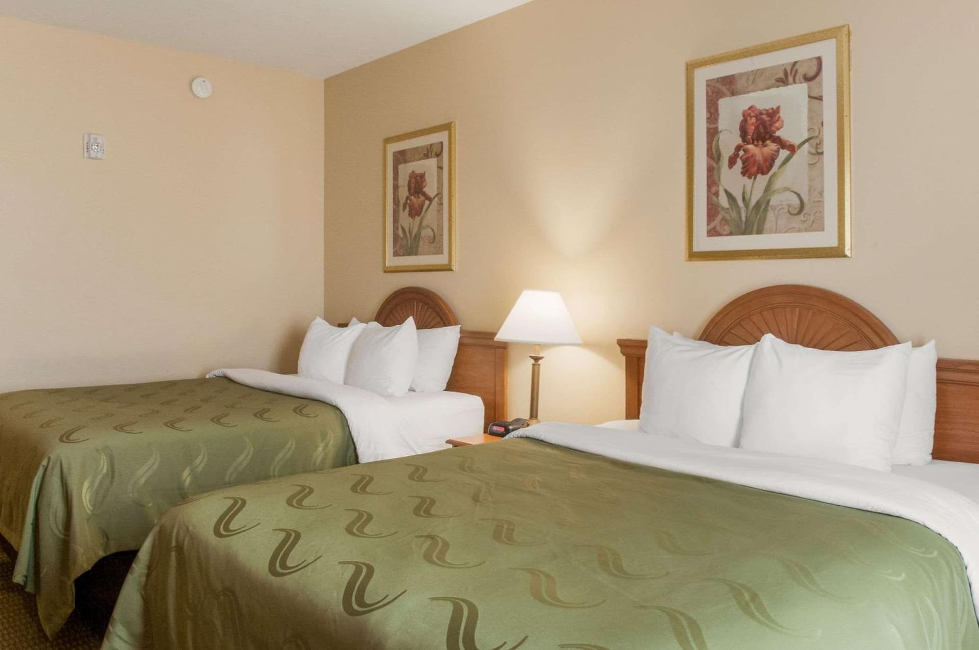 Quality Inn & Suites Houma gallery photo in Houma, LA — image 15