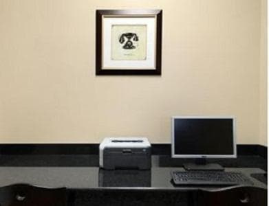 Sonesta Essential Hotels Odessa gallery photo in Odessa, TX — image 5