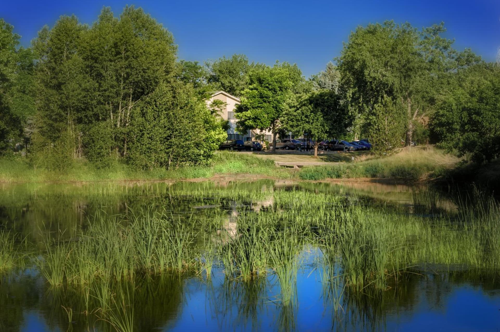Boulder Twin Lakes Inn gallery photo in Boulder, CO — image 8