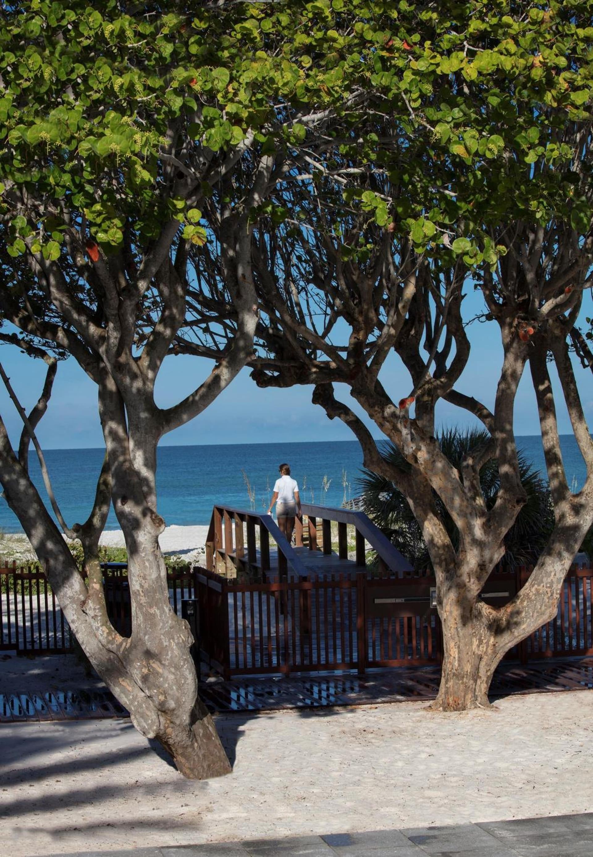 Zota Beach Resort gallery photo in Longboat Key, FL — image 10