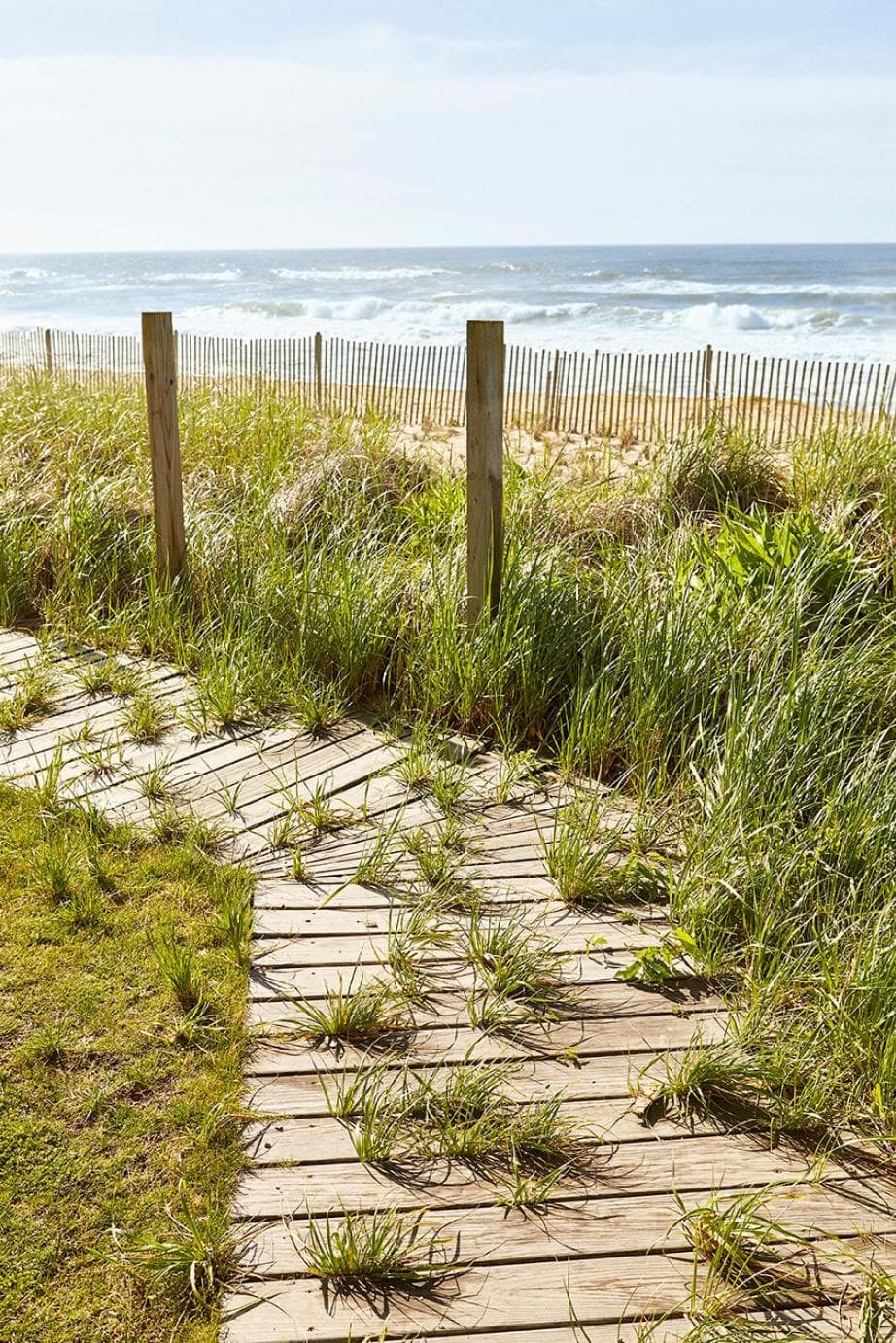 Marram gallery photo in Montauk, NY — image 26