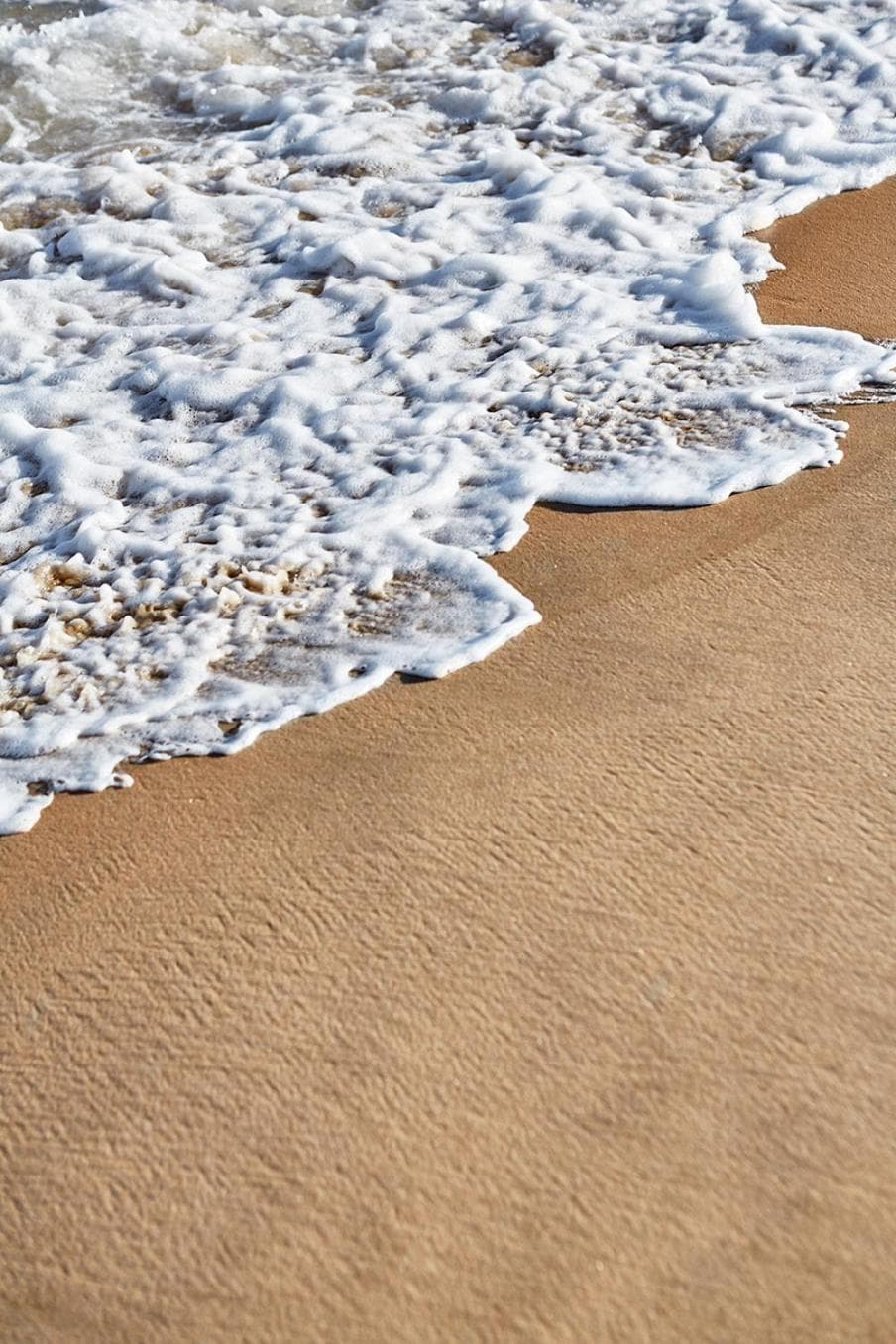 Marram gallery photo in Montauk, NY — image 9