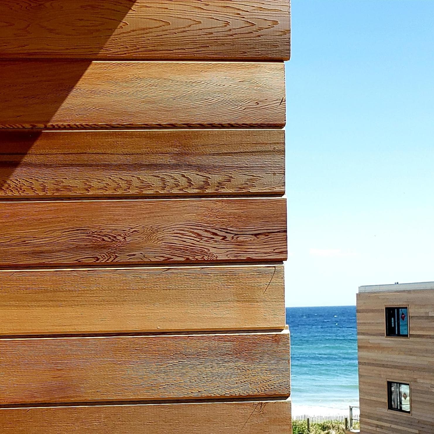 Marram gallery photo in Montauk, NY — image 29