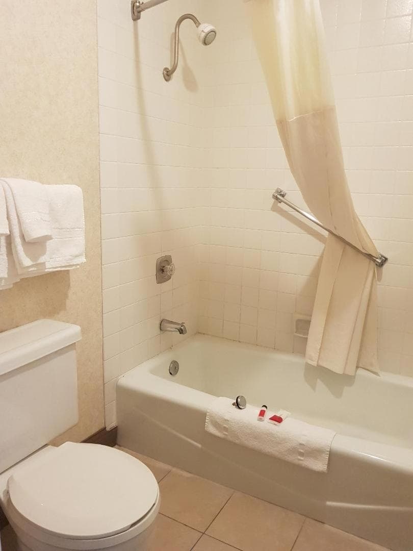 Travelodge by Wyndham Costa Mesa Newport Beach Hacienda gallery photo in Costa Mesa, CA — image 17