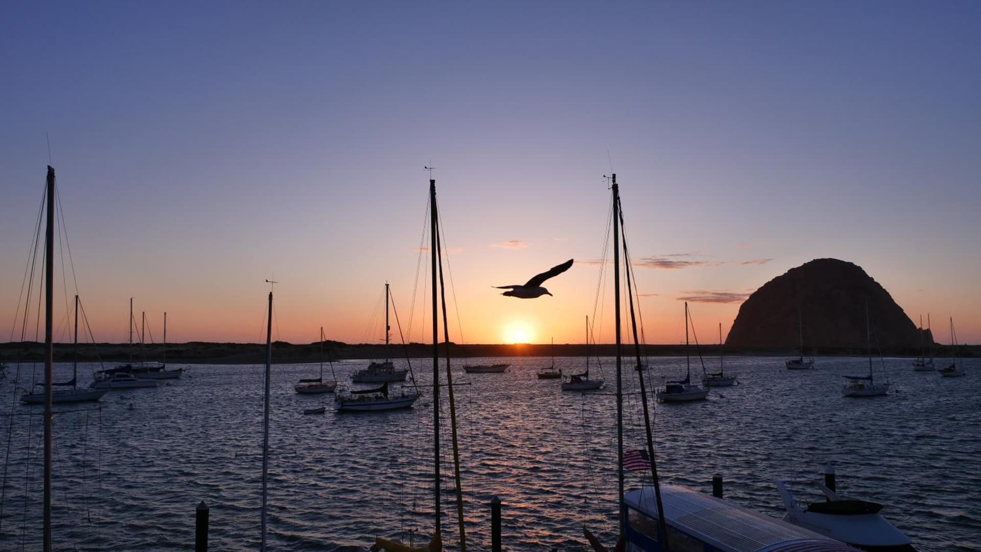 Gray's Inn & Gallery gallery photo in Morro Bay, CA — image 47