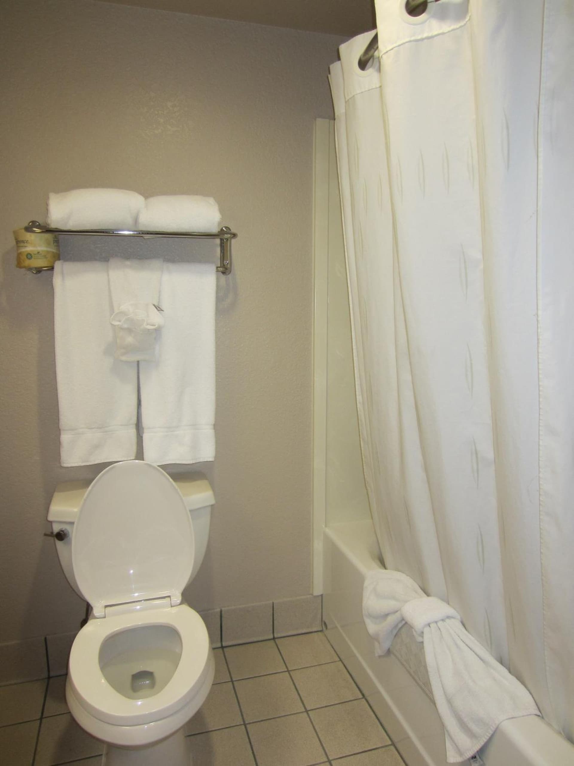Holiday Inn Express Rocklin - Galleria Area by IHG property views in Rocklin, CA — gallery photo 3