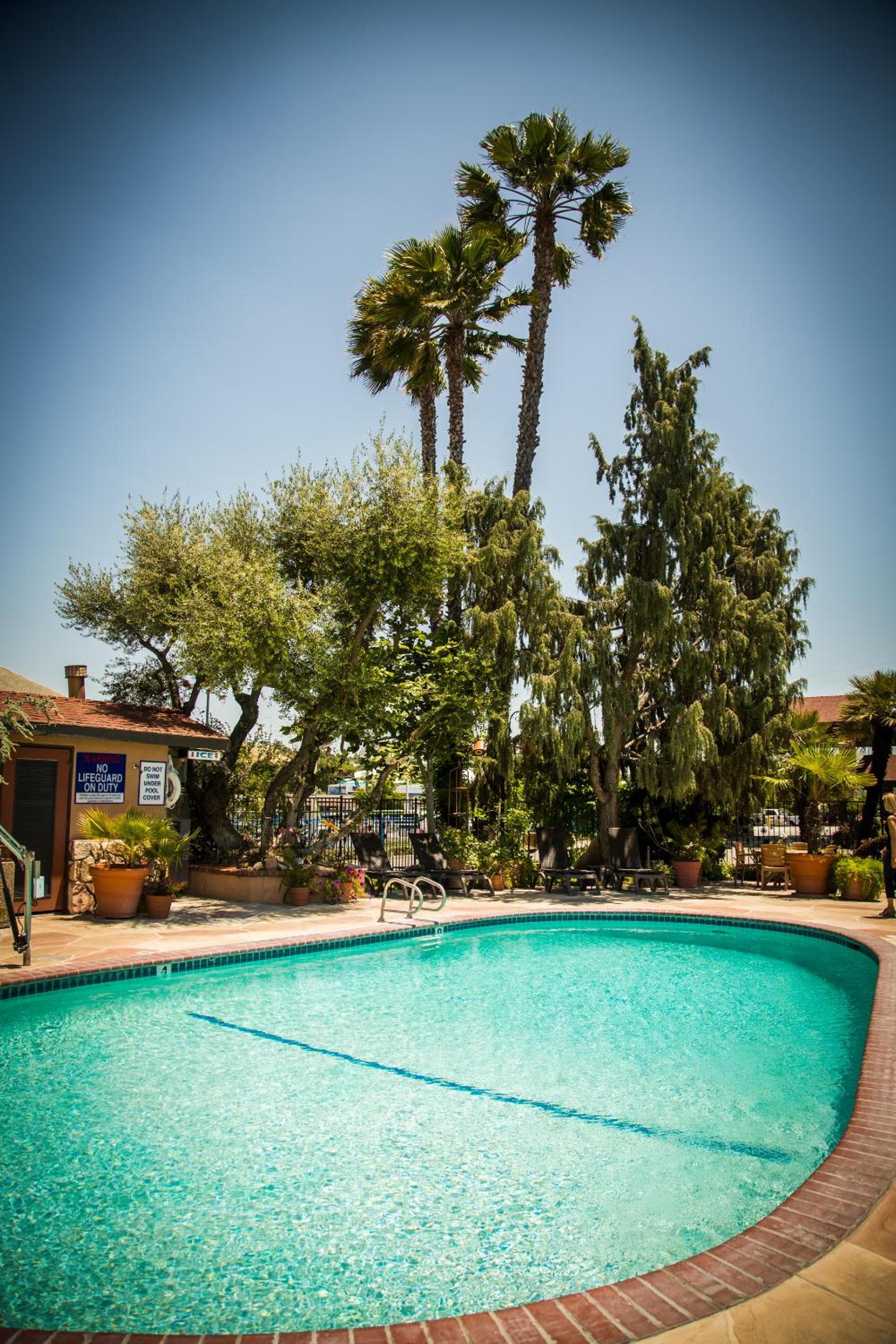 Adelaide Inn gallery photo in Paso Robles, CA — image 27