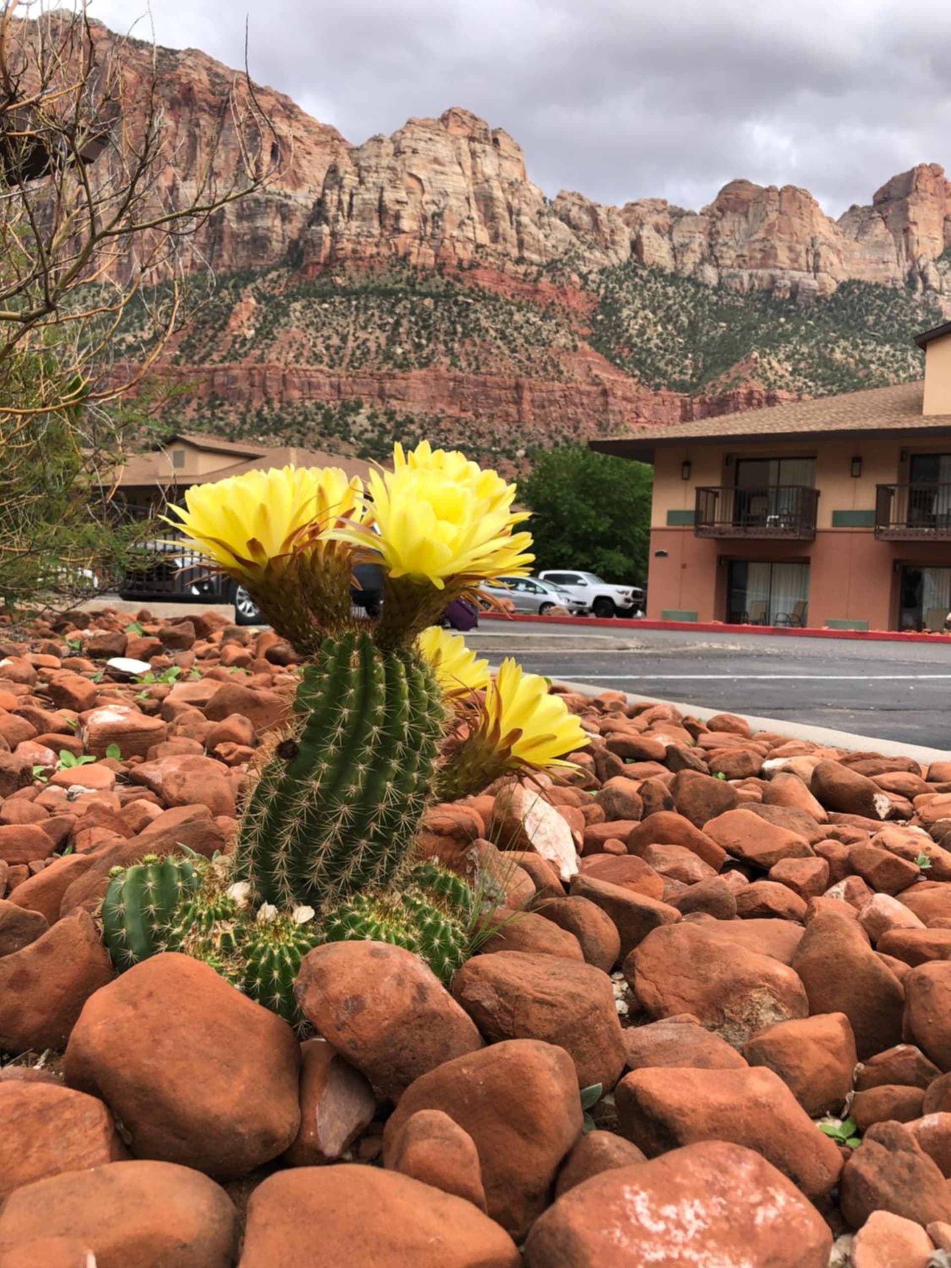 Bumbleberry Inn gallery photo in Springdale, UT — image 49
