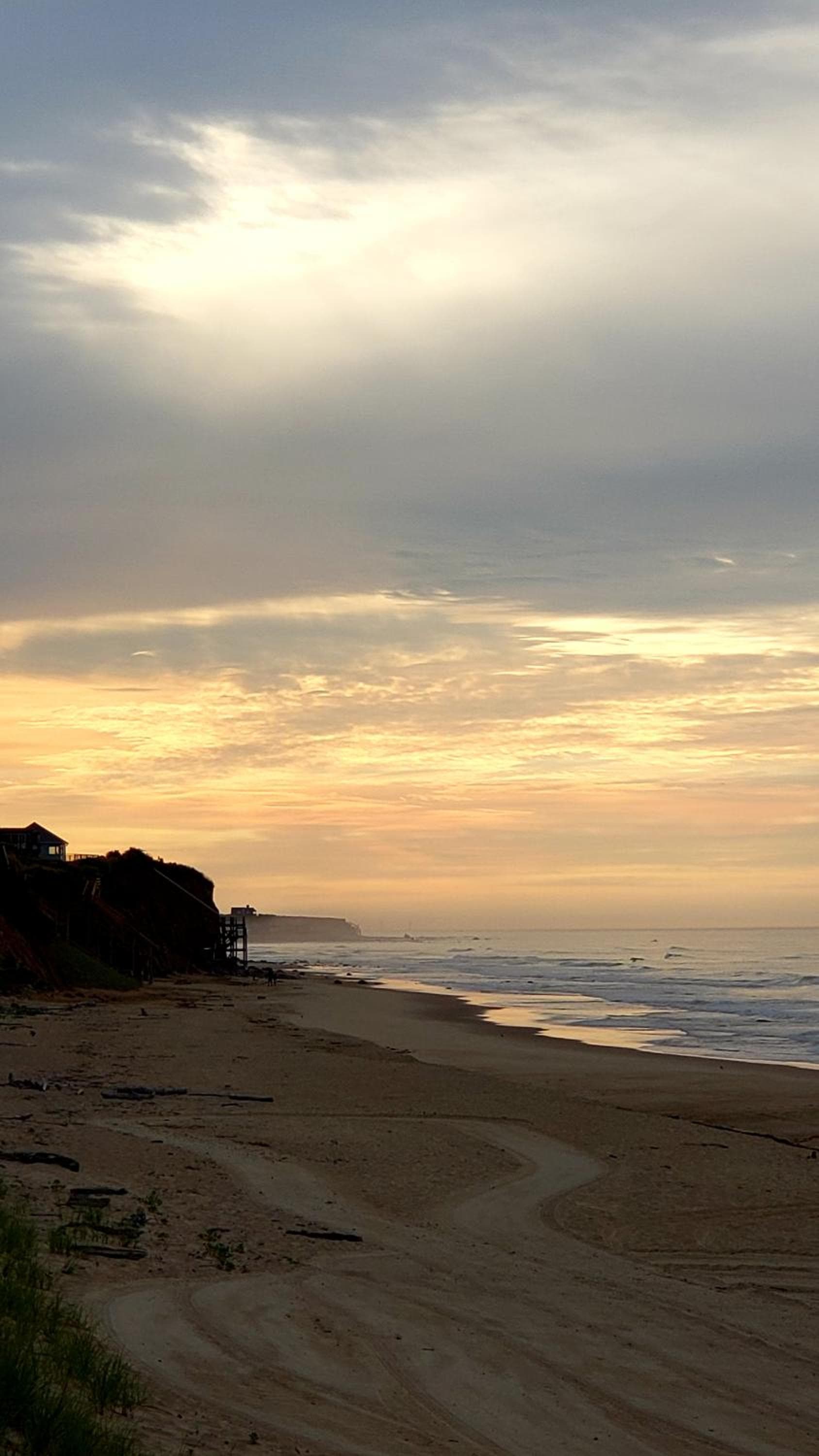 Marram gallery photo in Montauk, NY — image 46
