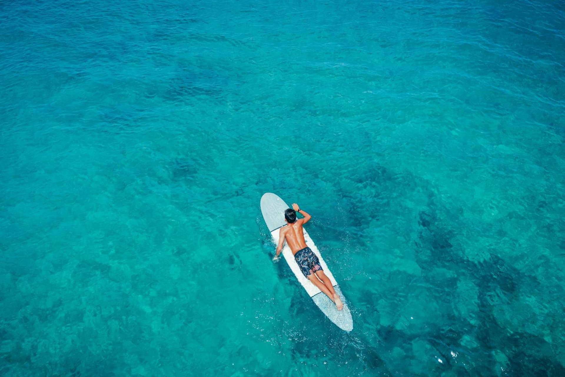 Lotus Honolulu at Diamond Head gallery photo in Honolulu, HI — image 68
