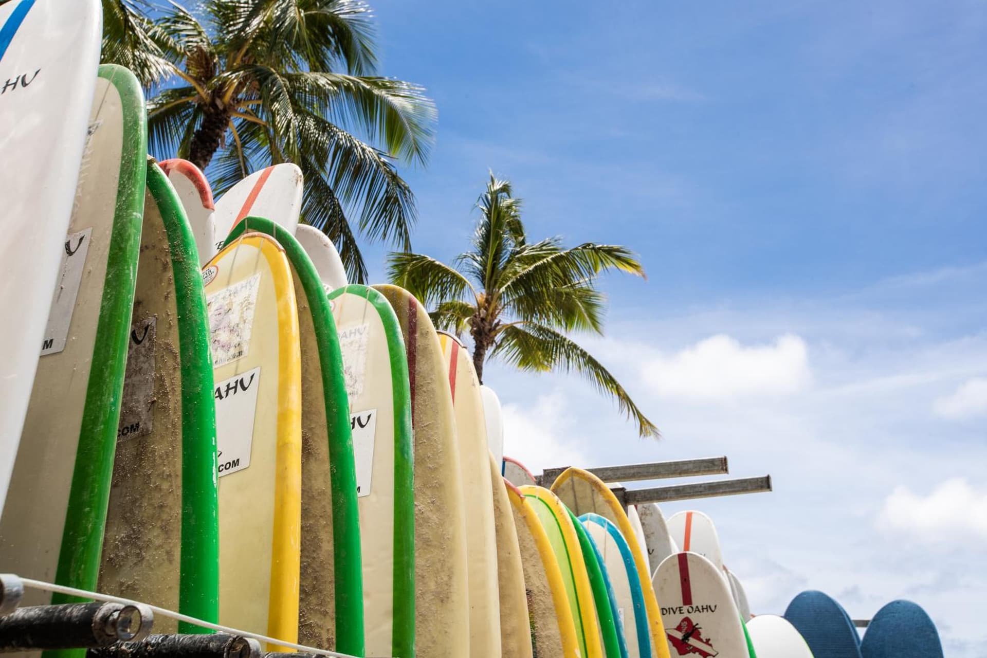 Lotus Honolulu at Diamond Head gallery photo in Honolulu, HI — image 18
