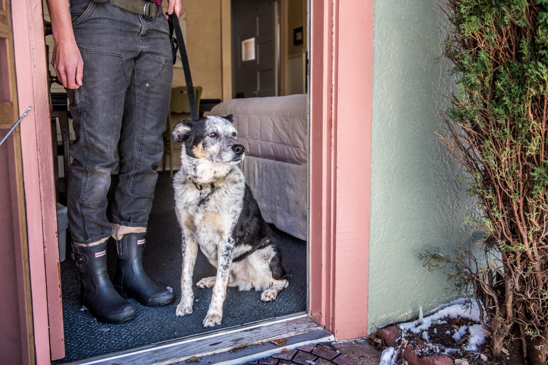 Jonquil Motel property views in Bisbee, AZ — gallery photo 3