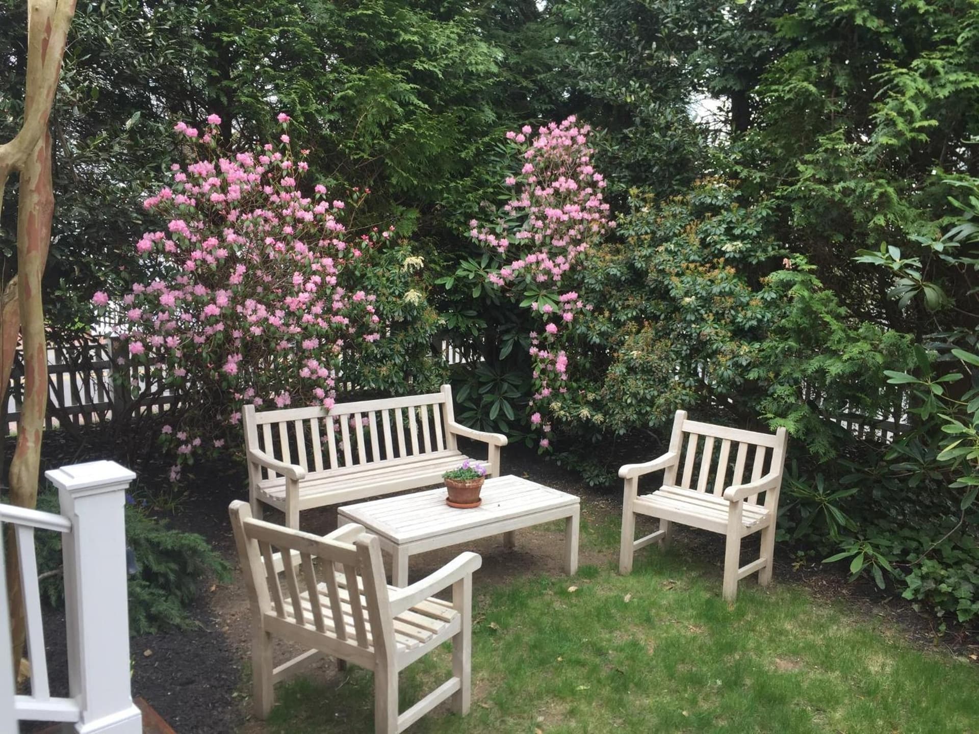 Hob Knob gallery photo in Edgartown — image 29