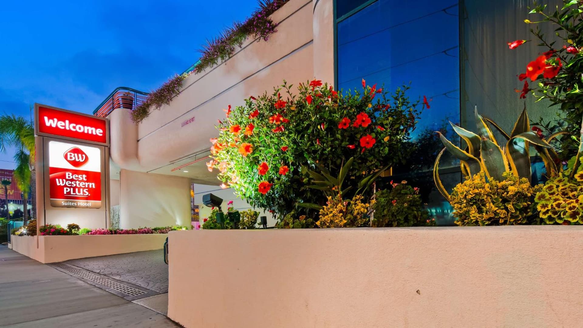 Best Western Plus Suites Hotel - LAX Airport LA Stadium gallery photo in Inglewood, CA — image 21