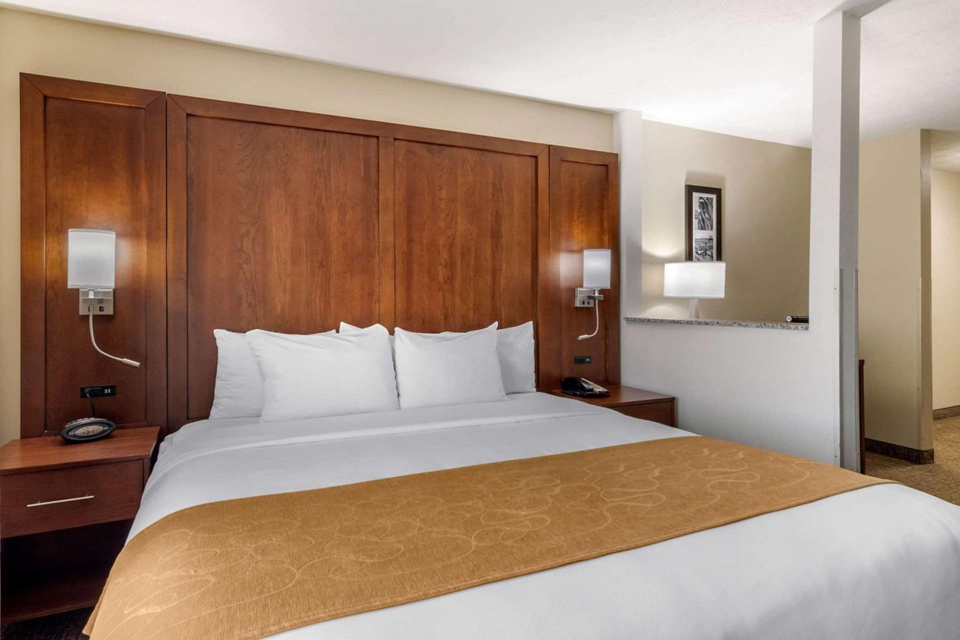 Comfort Suites Speedway - Kansas City gallery photo in Kansas City, KS — image 35