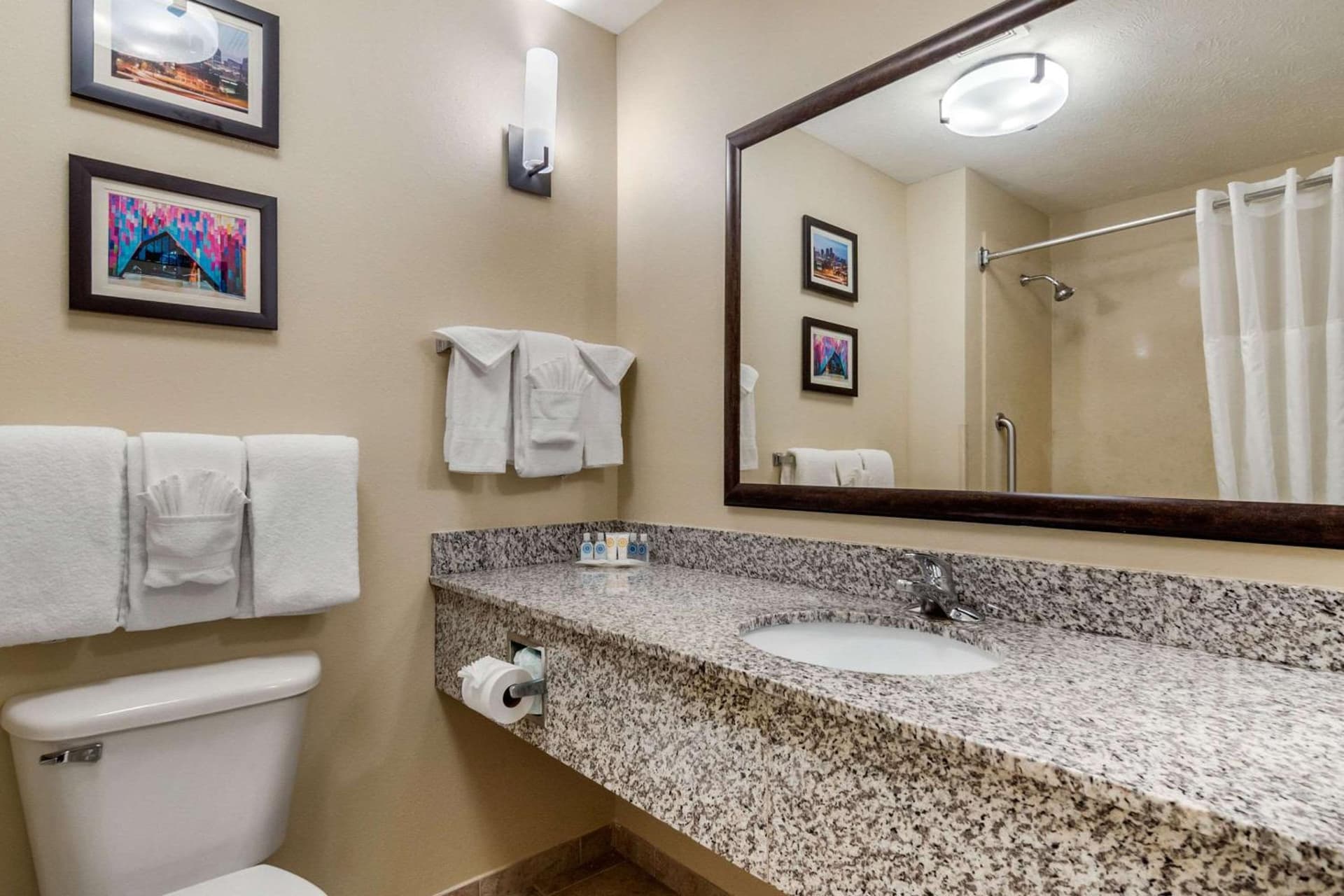 Comfort Suites Speedway - Kansas City gallery photo in Kansas City, KS — image 6