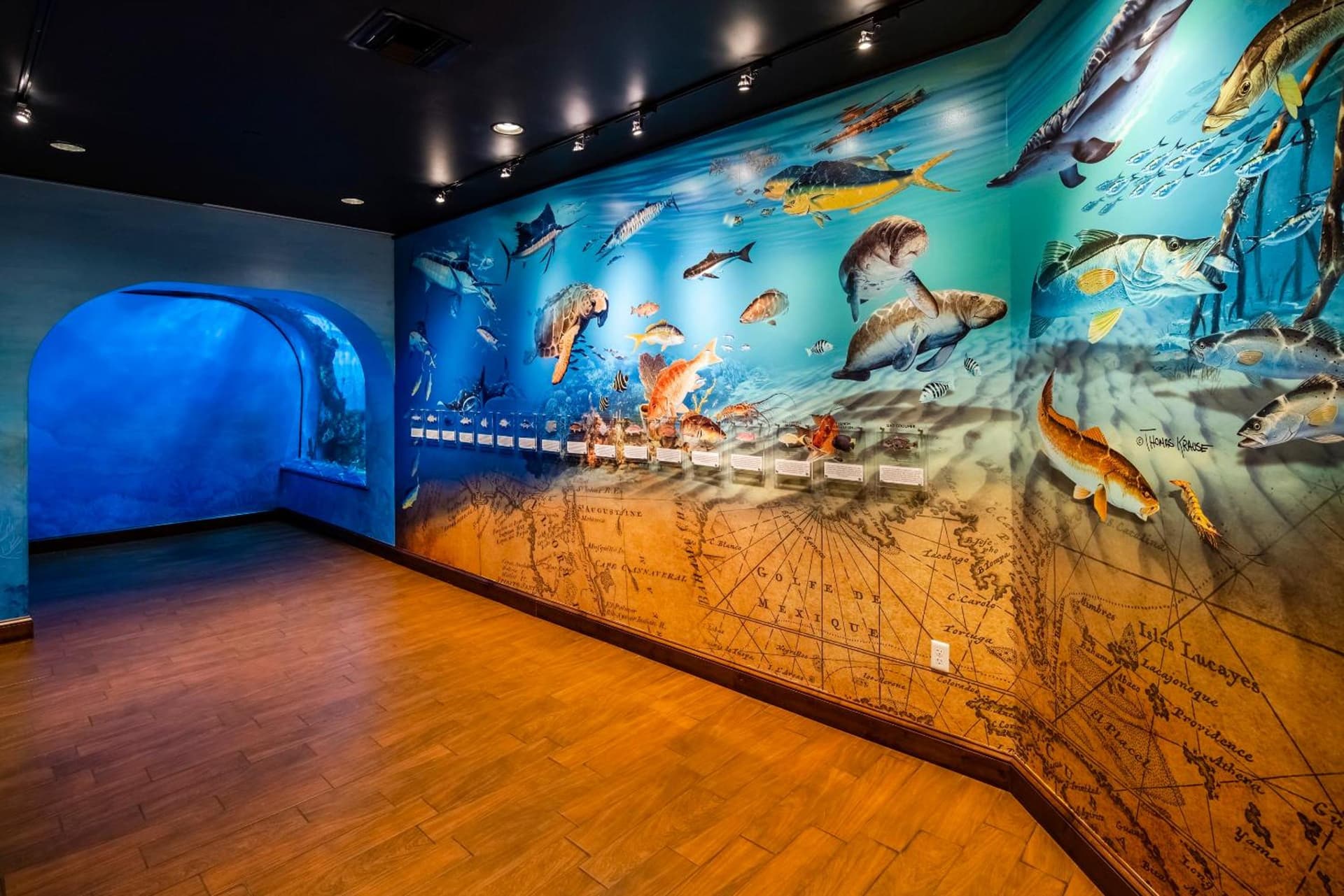 RumFish Beach at TradeWinds gallery photo in St Pete Beach, FL — image 67