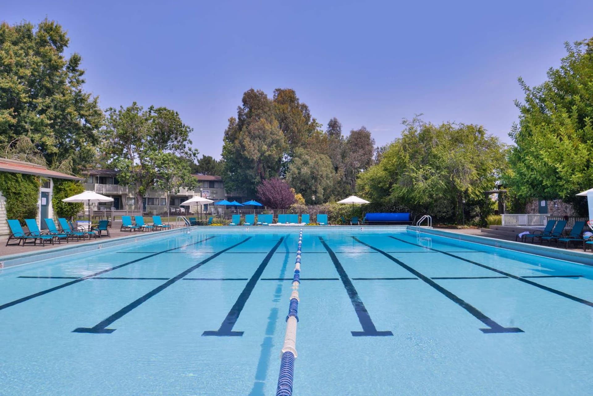 Best Western Corte Madera Inn gallery photo in Corte Madera, CA — image 59