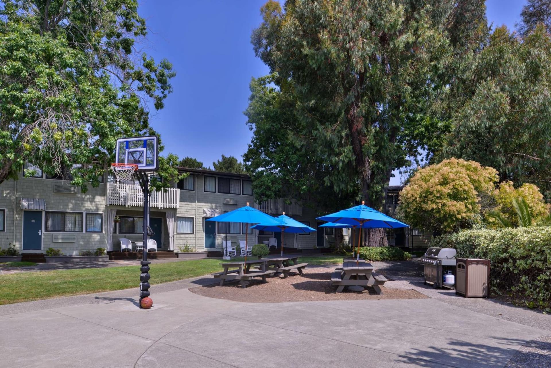 Best Western Corte Madera Inn gallery photo in Corte Madera, CA — image 16