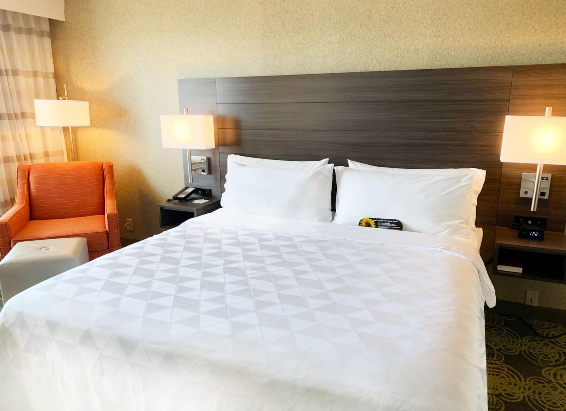 Holiday Inn University Area Charlottesville by IHG property views in Charlottesville, VA — gallery photo 3
