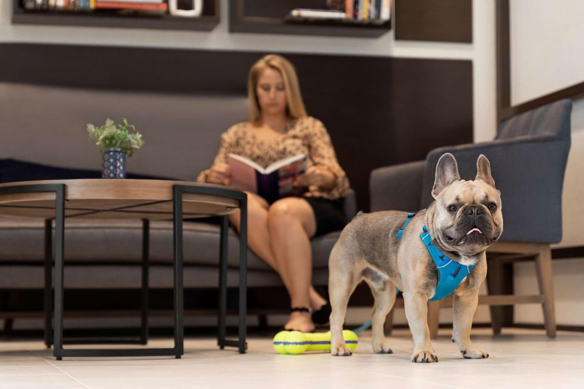 Hyatt Place Virginia Beach Town Center gallery photo in Virginia Beach, VA — image 40