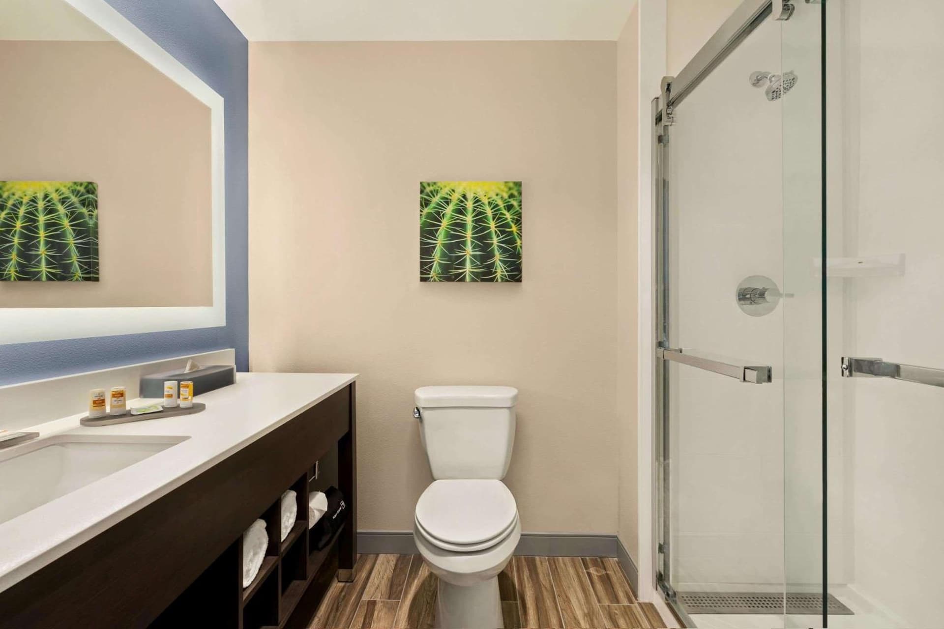 La Quinta Inn & Suites by Wyndham San Bernardino gallery photo in San Bernardino, CA — image 61