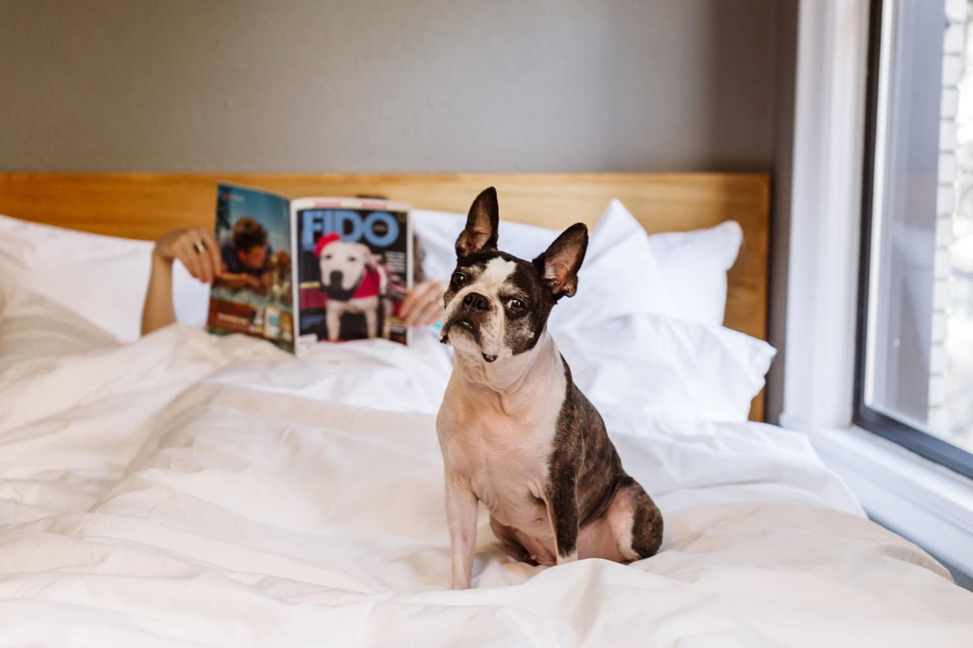 Hotel Max gallery photo in Seattle, WA — image 53