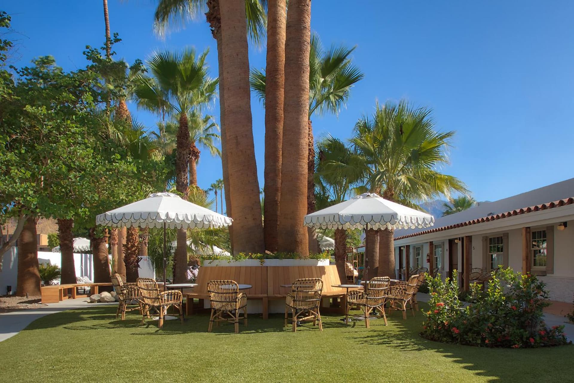 Dive Palm Springs Hotel - 21 & Over gallery photo in Palm Springs, CA — image 58