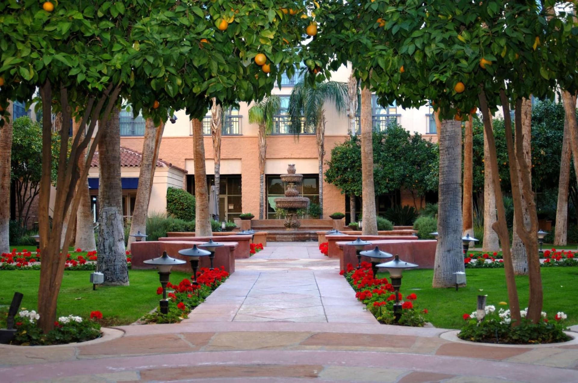 Tempe Mission Palms gallery photo in Tempe, AZ — image 16