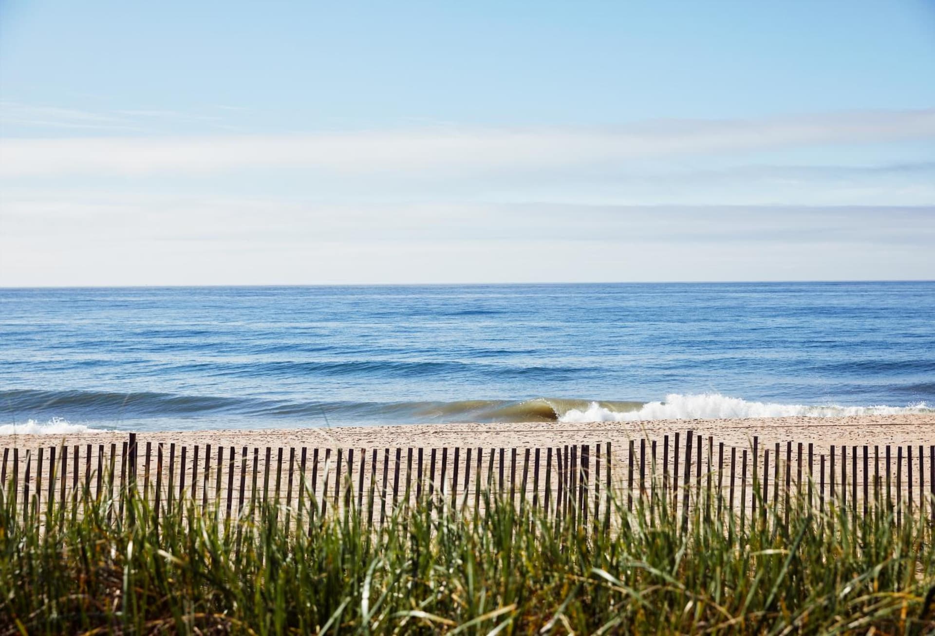 Marram gallery photo in Montauk, NY — image 11