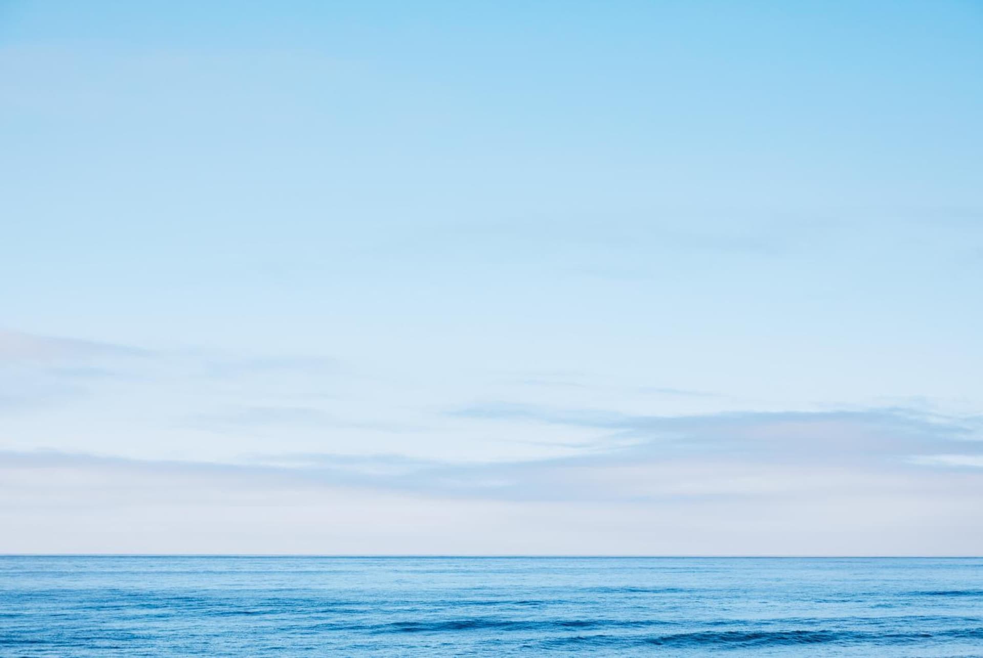 Marram gallery photo in Montauk, NY — image 10