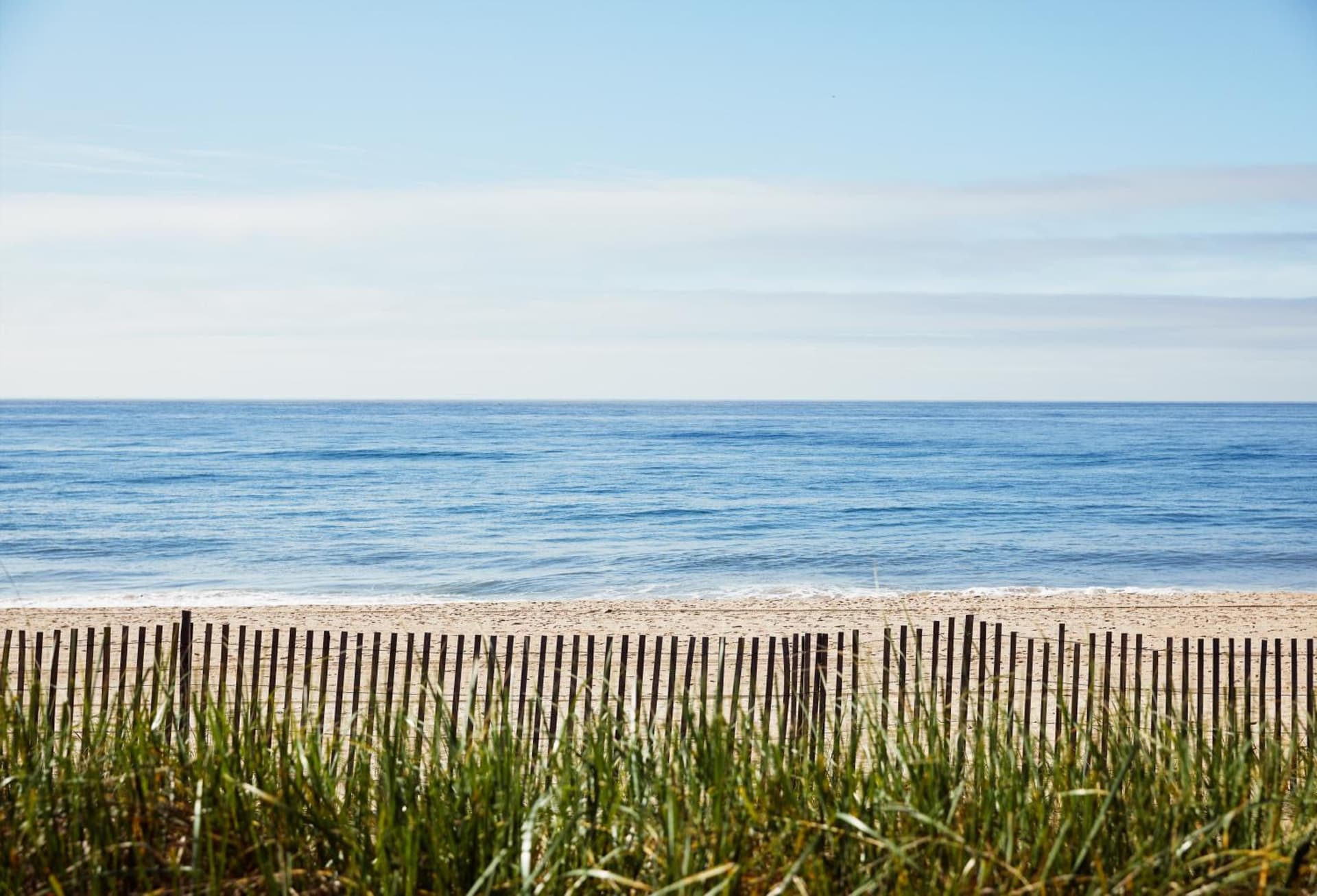 Marram gallery photo in Montauk, NY — image 33