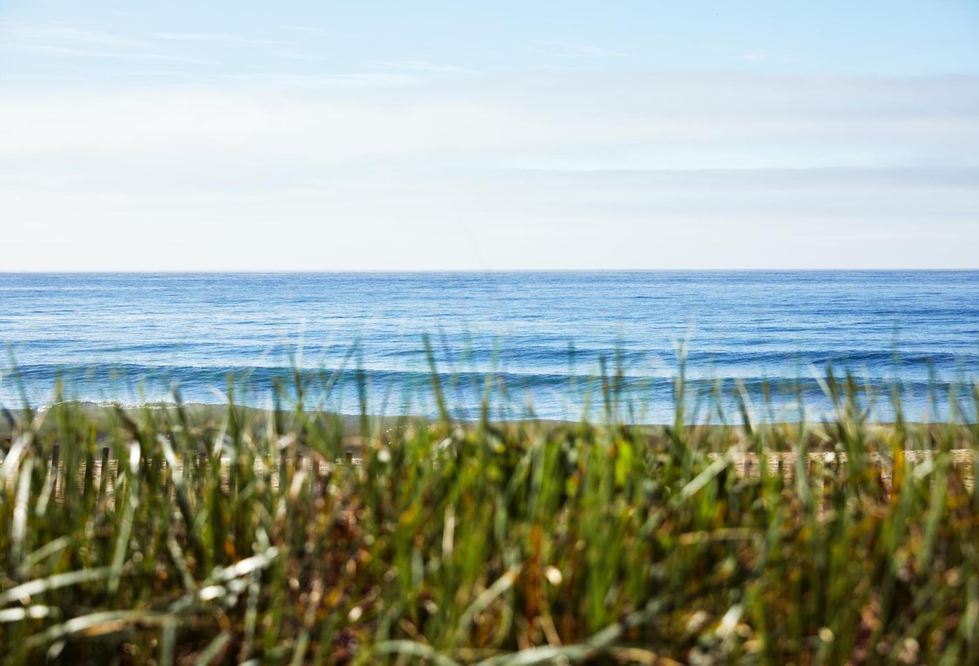 Marram gallery photo in Montauk, NY — image 21