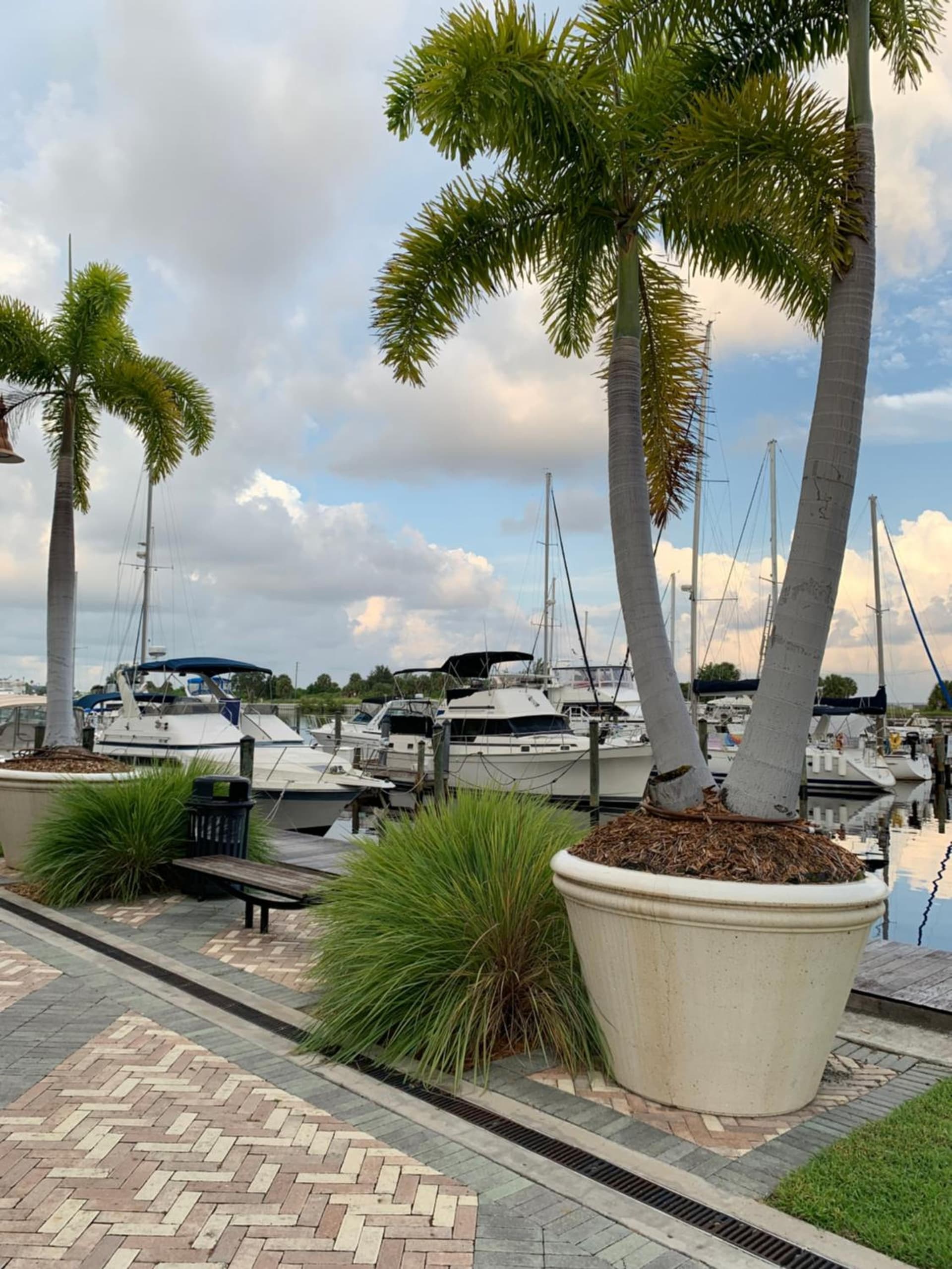 Resort Condo, Private Beach, Balcony with Water Views Bayside Retreat gallery photo in Ruskin, FL — image 4