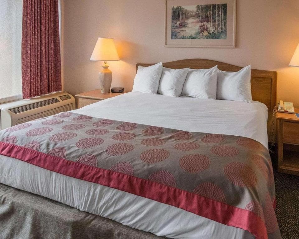 Economy Inn & Suites gallery photo in Shreveport, LA — image 39