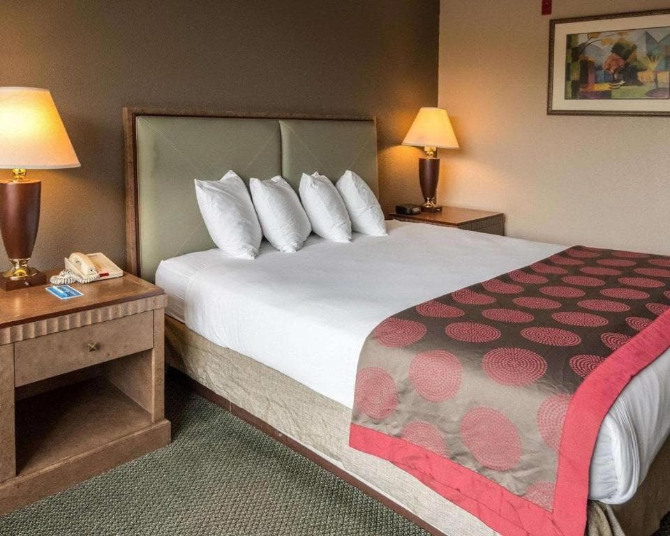 Economy Inn & Suites gallery photo in Shreveport, LA — image 26