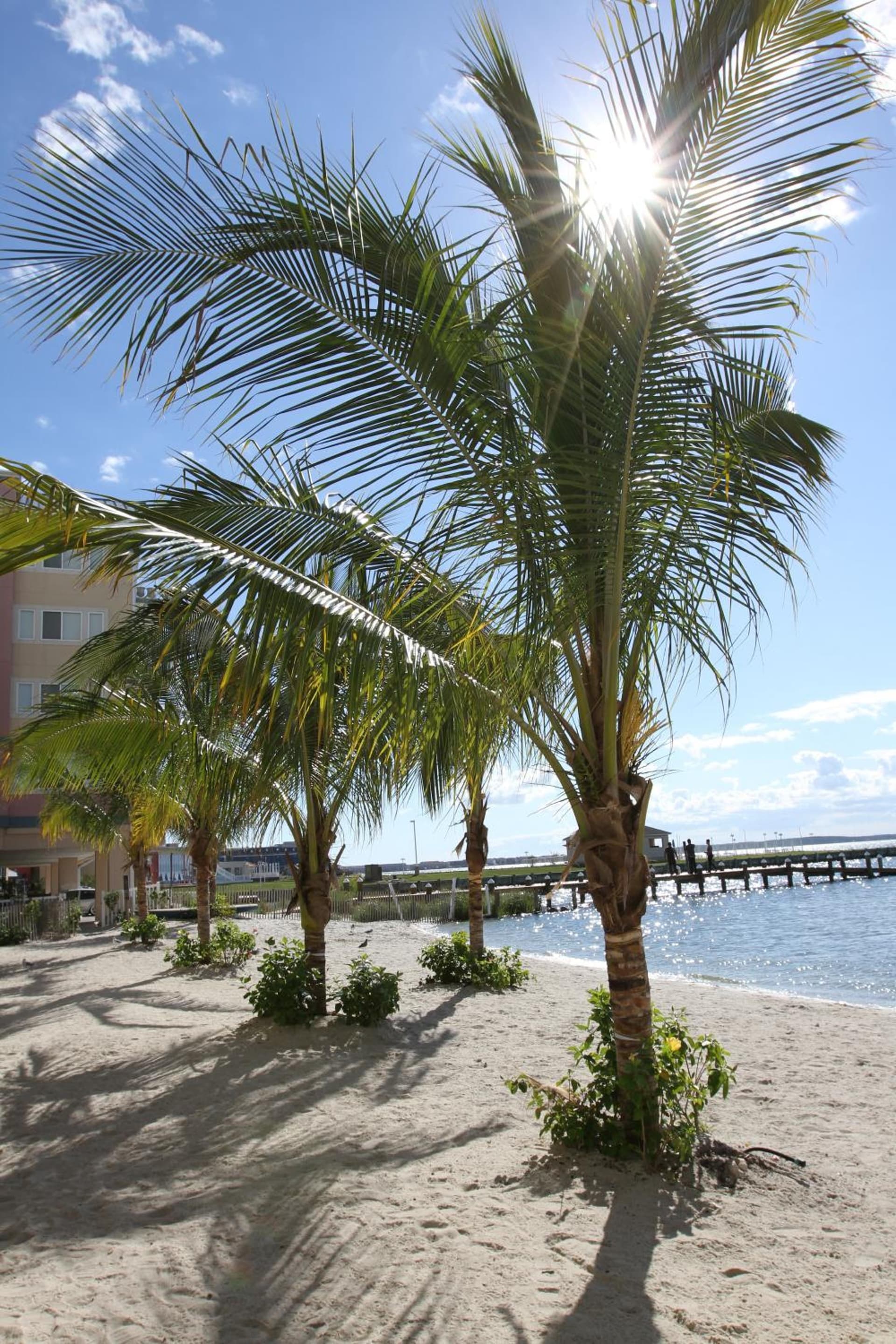 Princess Bayside Beach Hotel gallery photo in Ocean City, MD — image 13