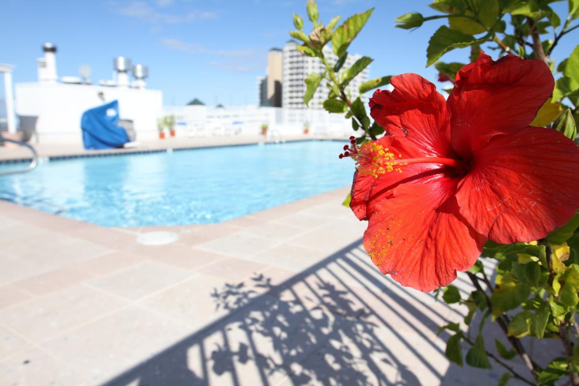 Princess Bayside Beach Hotel gallery photo in Ocean City, MD — image 10