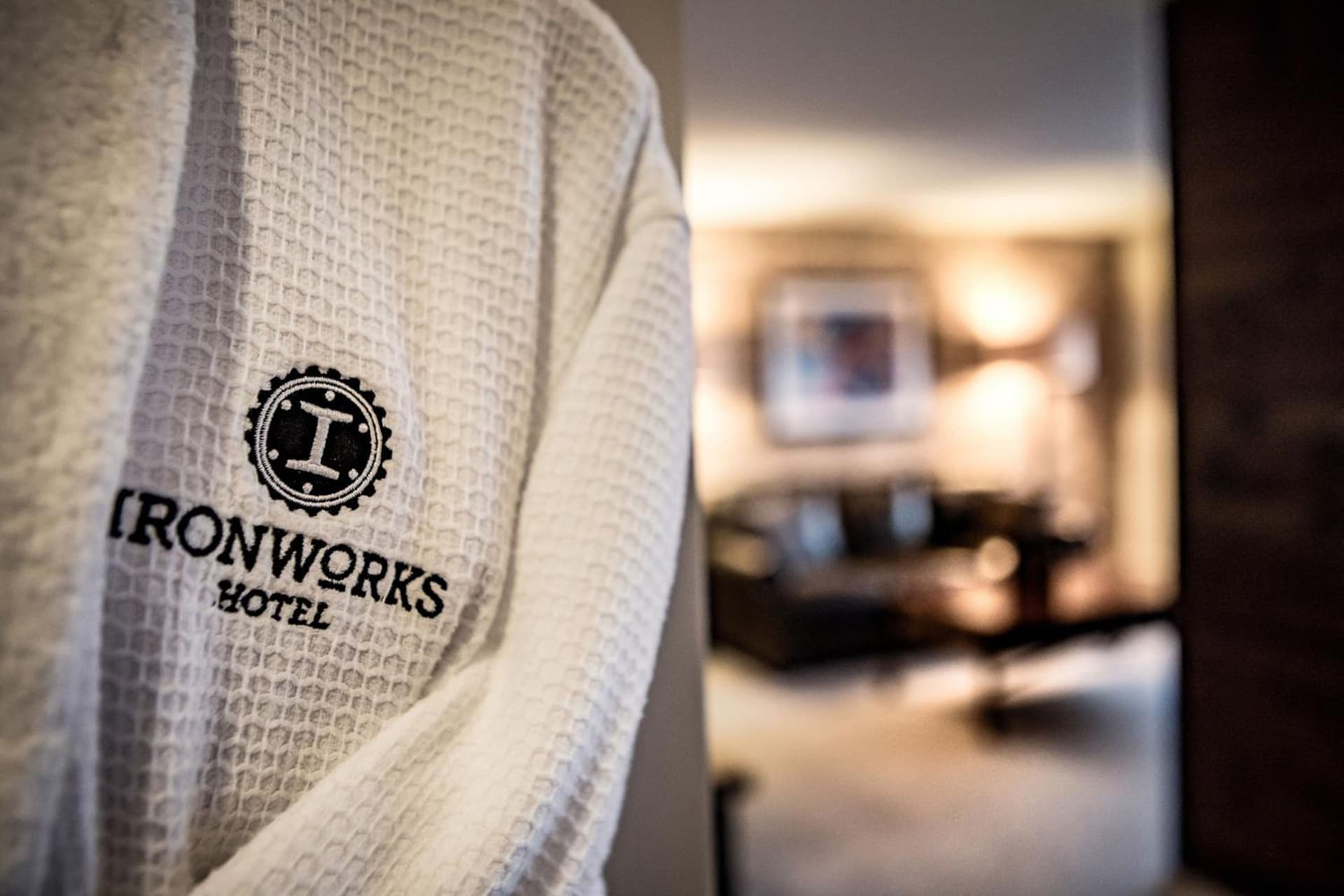 Ironworks Hotel gallery photo in Beloit, WI — image 20