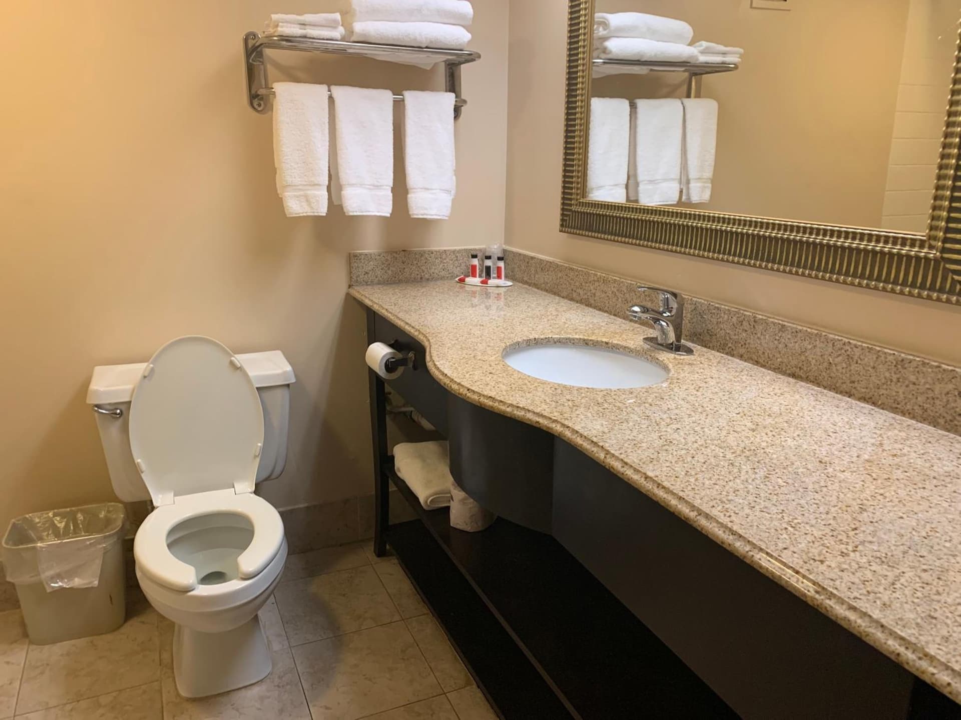 Comfort Inn & Suites gallery photo in Gainesville, GA — image 4