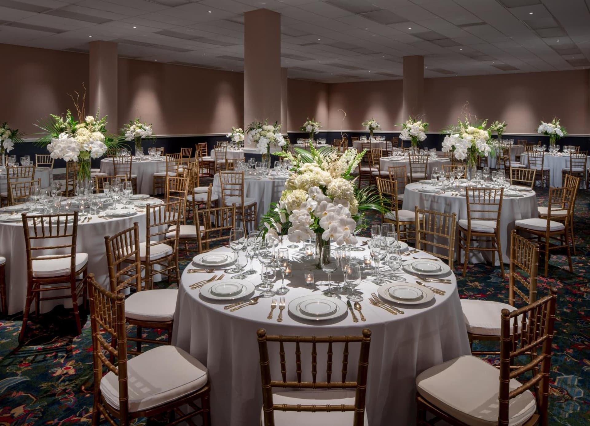 Graduate by Hilton Fayetteville, AR gallery photo in Fayetteville, AR — image 27