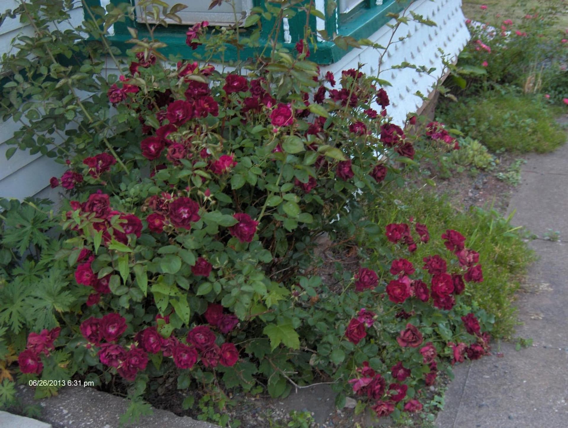 Antique Rose Inn Windham gallery photo in Windham — image 43
